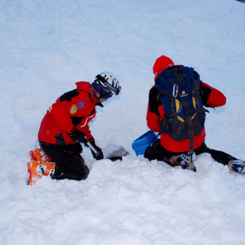 Testing Rivelatori Metalli ricerca persona sepolta da neve n. 28 / 60156