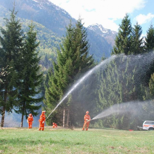 Forni di Sotto 2011 n. 48 / 64151