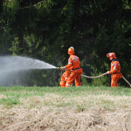 Forni di Sotto 2011 n. 49 / 64152