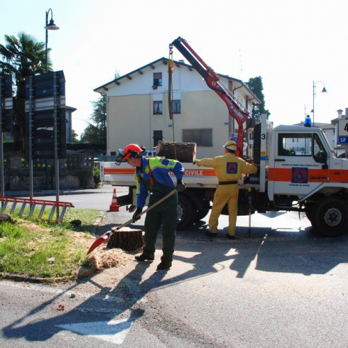 Cerchio 2011 n. 31 / 64244