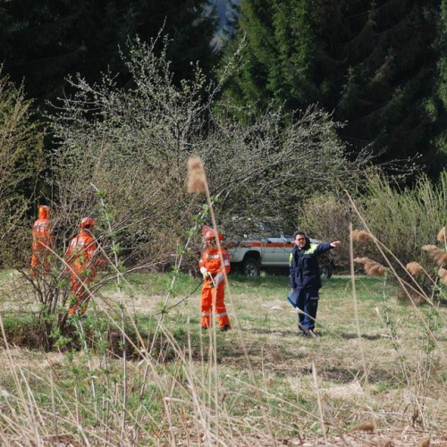 Forni di Sotto 2011 n. 51 / 64154