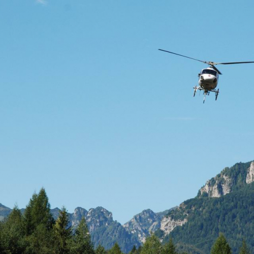 Addestramento Erto e Casso n. 39 / 55498