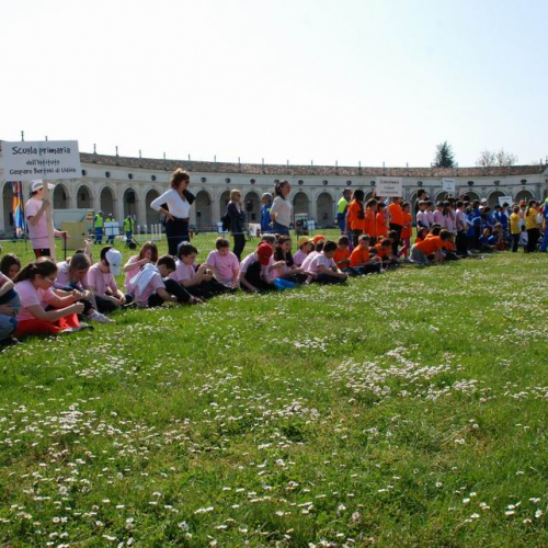 Olimpiadi della Sicurezza n. 35 / 50444