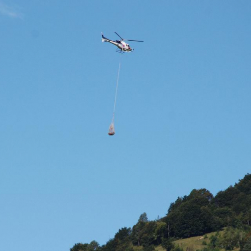 Addestramento Erto e Casso n. 42 / 55501