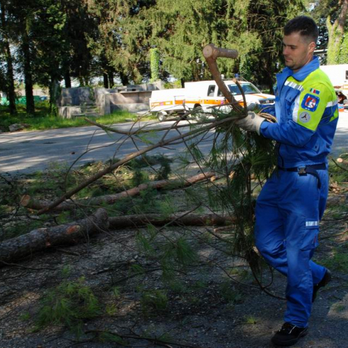 Cerchio 2011 n. 34 / 64247