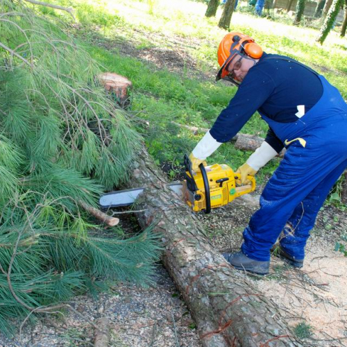 Cerchio 2011 n. 35 / 64248