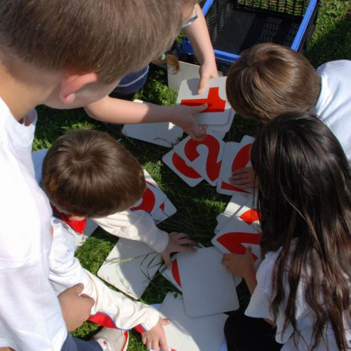 Olimpiadi della Sicurezza n. 40 / 50449