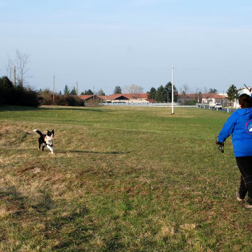 Stage Protezione civile (24.03.2011) n. 30 / 62887