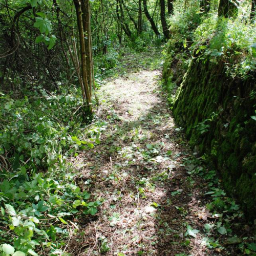 Addestramento Erto e Casso n. 48 / 55507