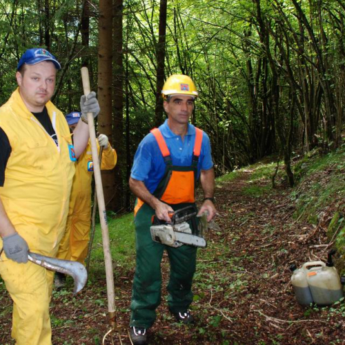 Addestramento Erto e Casso n. 49 / 55508