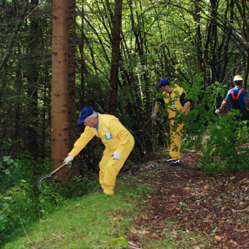 Addestramento Erto e Casso n. 51 / 55510