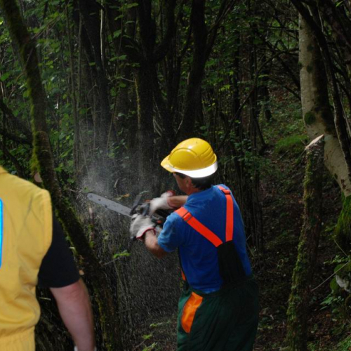 Addestramento Erto e Casso n. 52 / 55511