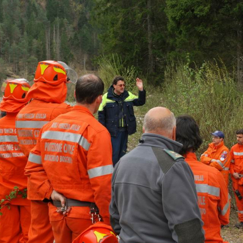 Forni di Sotto 2011 n. 62 / 64165