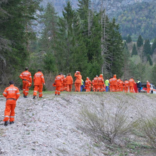 Forni di Sotto 2011 n. 63 / 64166