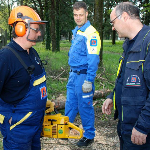 Cerchio 2011 n. 50 / 64263