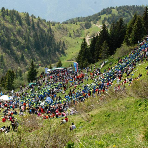 Supporto 14™ tappa 94∞ Giro d'Italia Lienz - Monte Zoncolan" n. 68""upporto 14™ tappa 94∞ Giro d'" / 66010