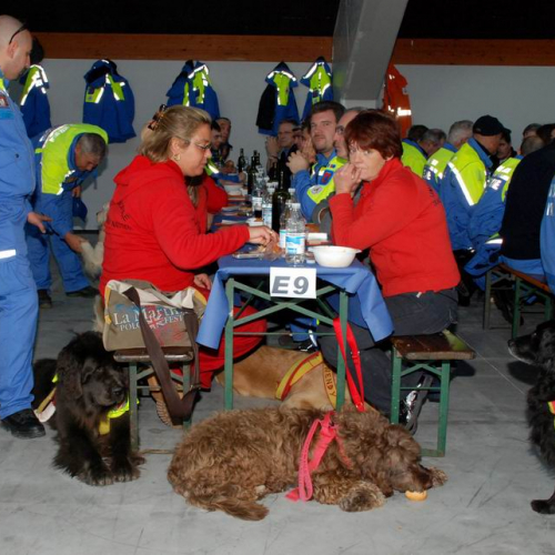 Foto Momento conviviale n. 12 / 46234