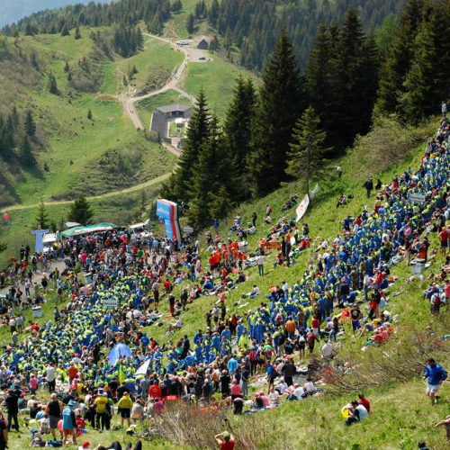 Supporto 14™ tappa 94∞ Giro d'Italia Lienz - Monte Zoncolan" n. 69""upporto 14™ tappa 94∞ Giro d'" / 66011