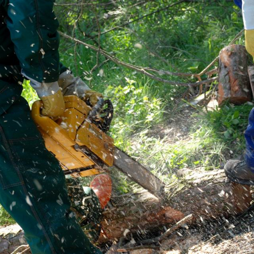 Cerchio 2011 n. 53 / 64266