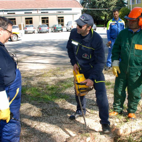 Cerchio 2011 n. 54 / 64267