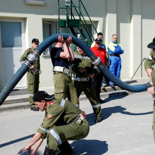 Cerchio 2011 n. 64 / 64277