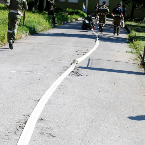 Cerchio 2011 n. 66 / 64279