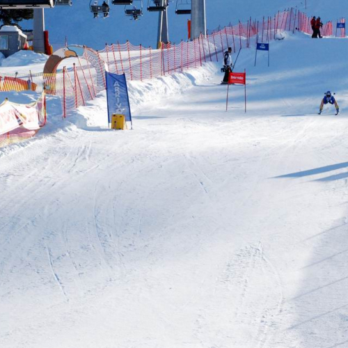 Slalom Gigante n. 28 / 47494