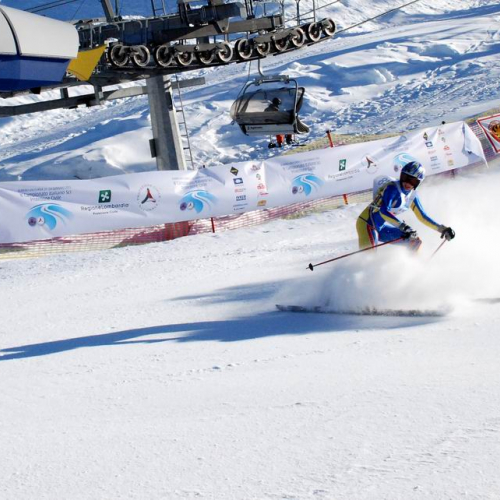 Slalom Gigante n. 29 / 47495