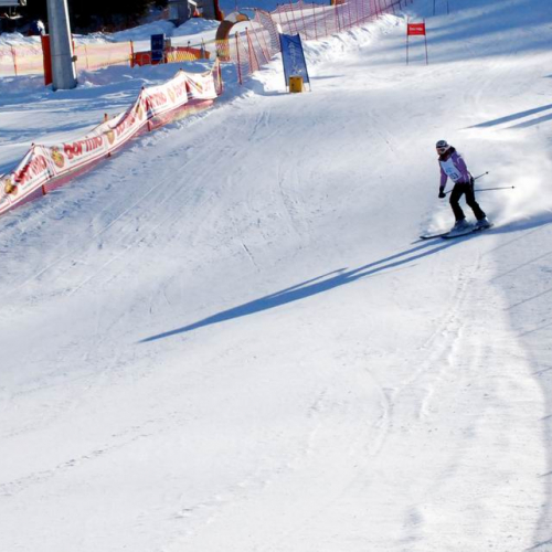 Slalom Gigante n. 31 / 47497