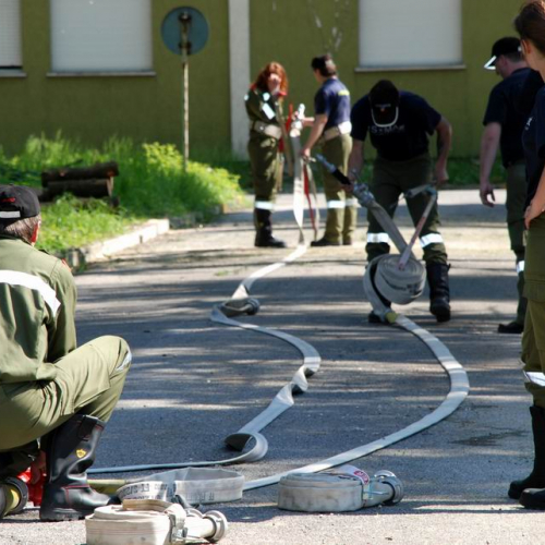 Cerchio 2011 n. 76 / 64289