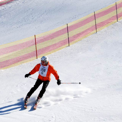 Slalom Gigante n. 32 / 47498