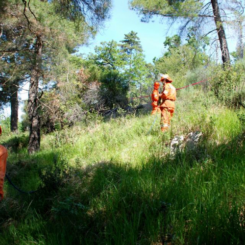 Karst Exercise 2011 n. 50 / 66485