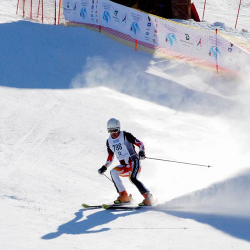 Slalom Gigante n. 34 / 47500