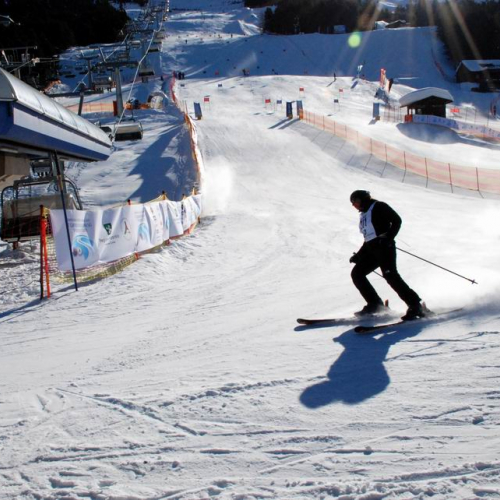 Slalom Gigante n. 36 / 47502