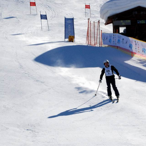 Slalom Gigante n. 41 / 47507