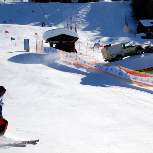 Slalom Gigante n. 42 / 47508