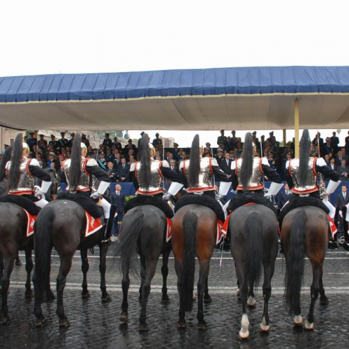 Festa della Repubblica 71 / 24893
