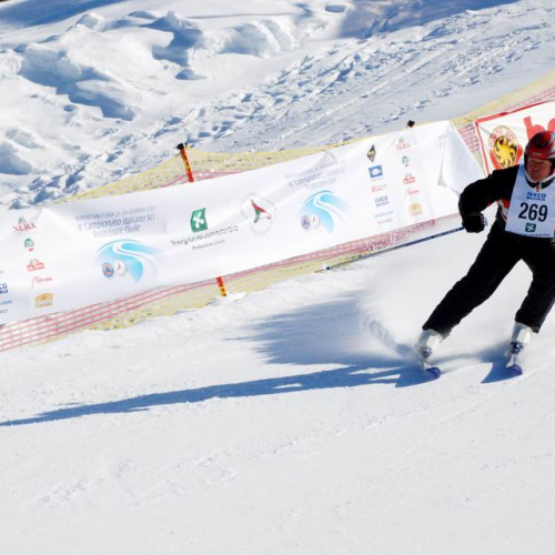 Slalom Gigante n. 43 / 47509