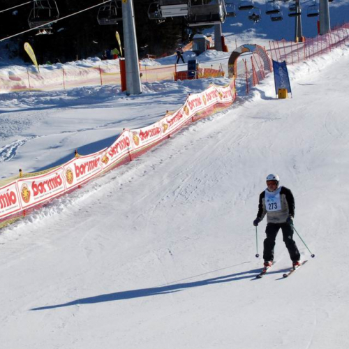 Slalom Gigante n. 44 / 47510