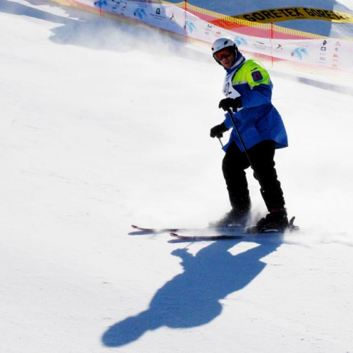 Slalom Gigante n. 47 / 47513