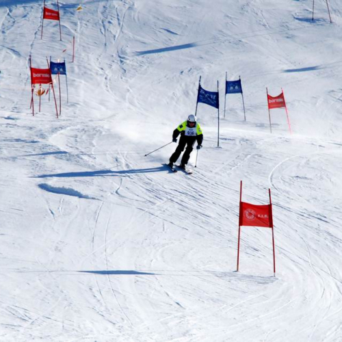 Slalom Gigante n. 50 / 47516