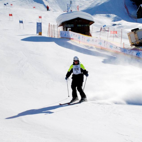 Slalom Gigante n. 51 / 47517