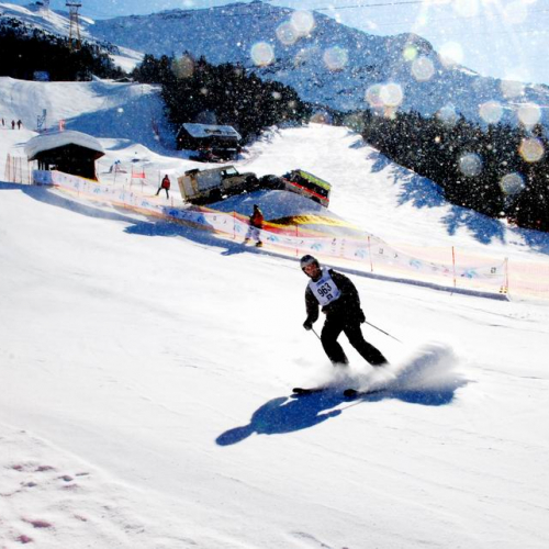 Slalom Gigante n. 56 / 47522