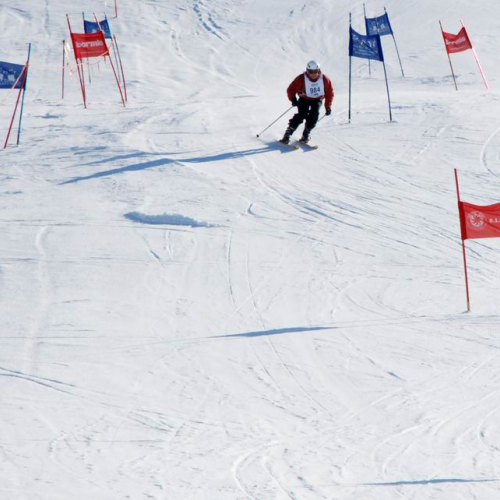 Slalom Gigante n. 57 / 47523