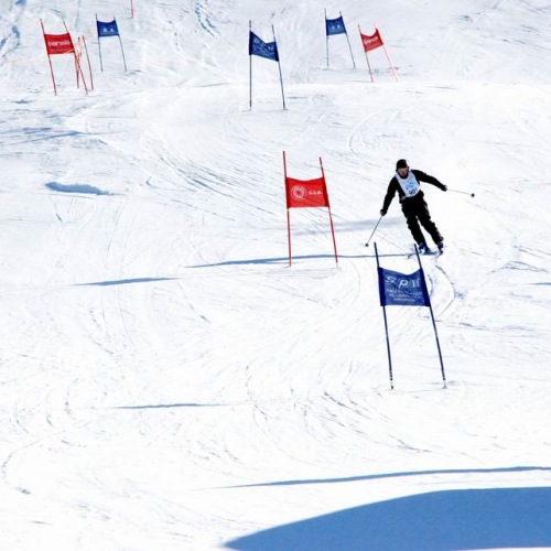 Slalom Gigante n. 61 / 47527