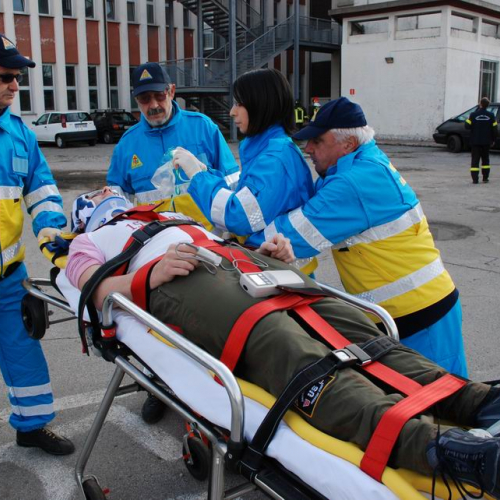 VIII Giornata Nazionale della Sicurezza nelle Scuole n. 12 / 58843