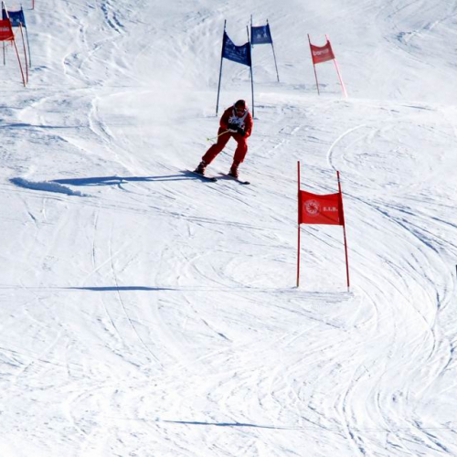 Slalom Gigante n. 66 / 47532