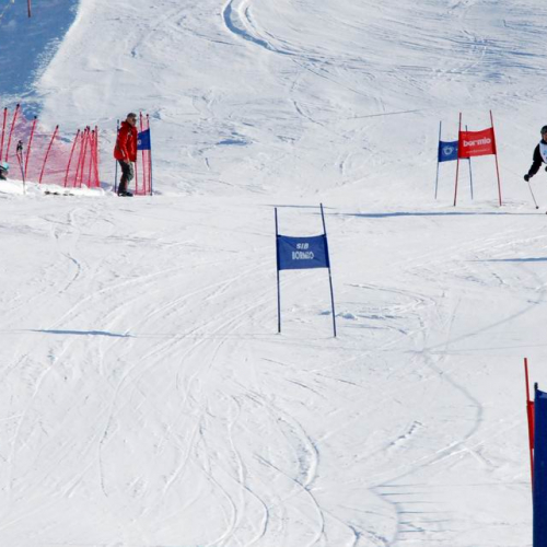 Slalom Gigante n. 73 / 47539