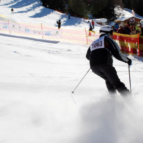 Slalom Gigante n. 74 / 47540