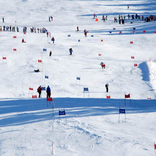 Slalom Gigante n. 76 / 47542